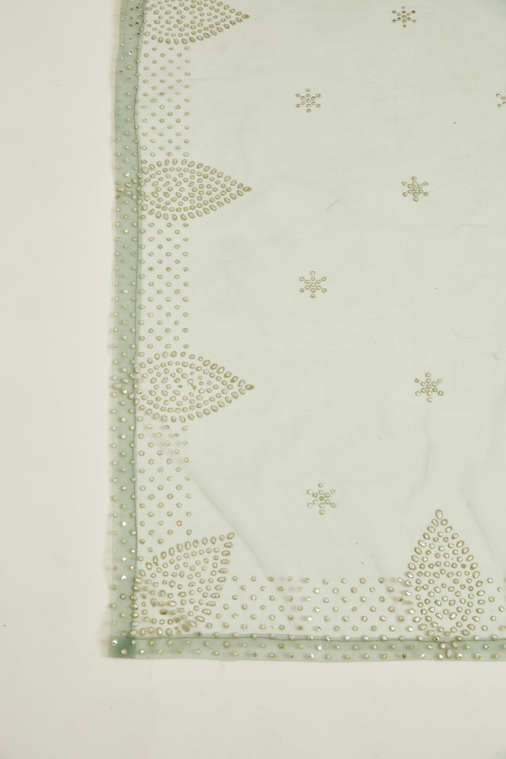 Neerus Blue net mirror work gown - detail view 3