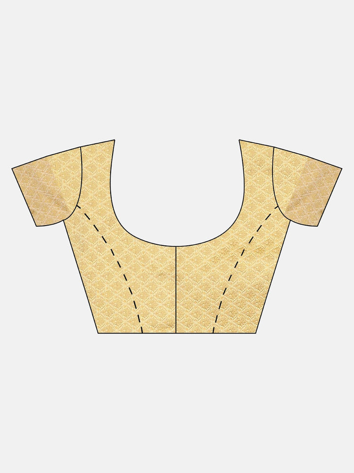 Neerus Amber Embroidered Saree With Blouse