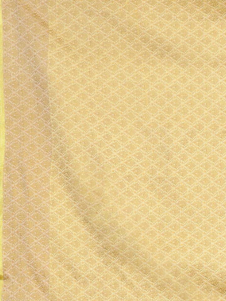 Neerus Amber Embroidered Saree With Blouse