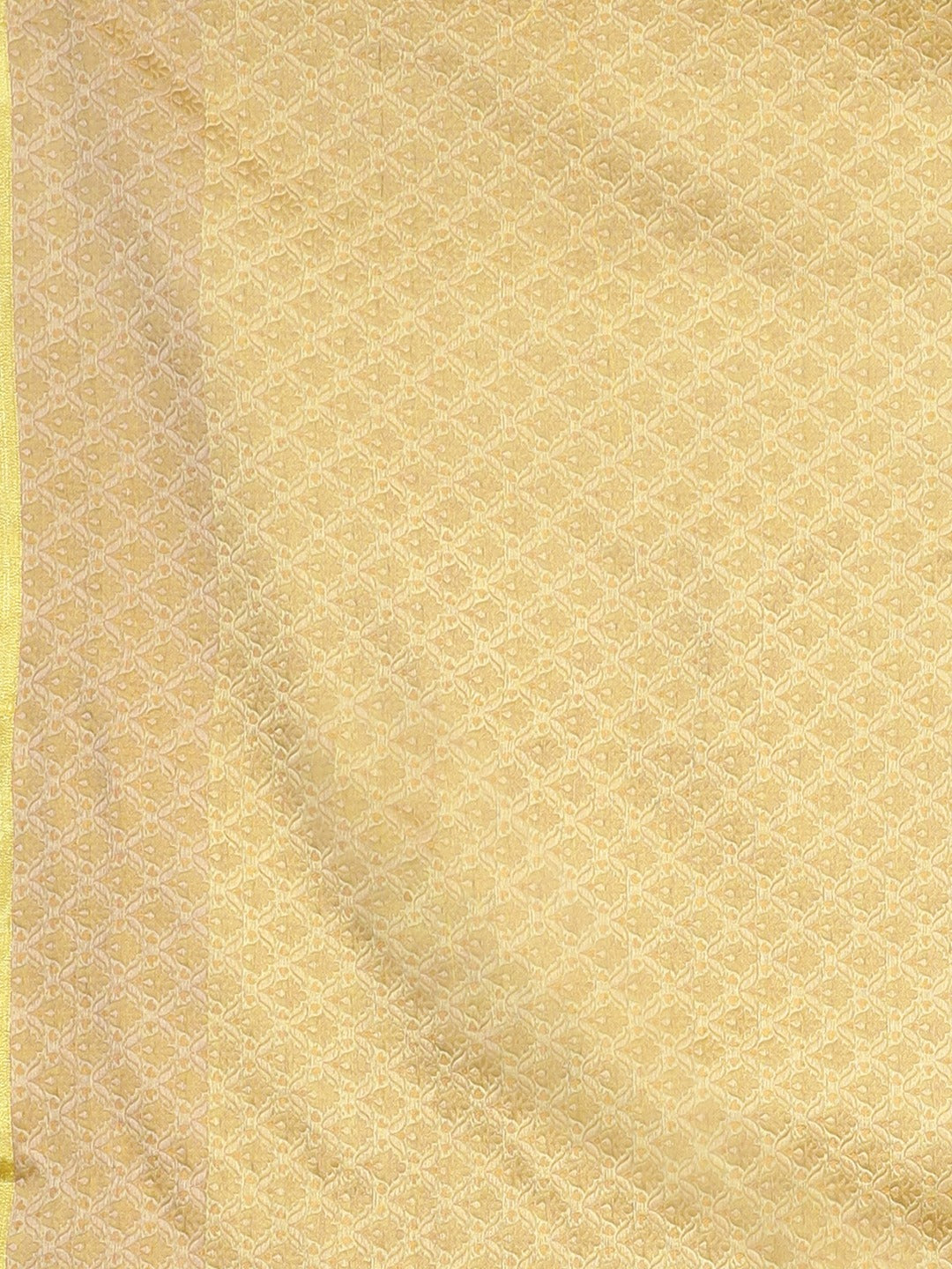 Neeru's Amber Embroidered Saree With Blouse