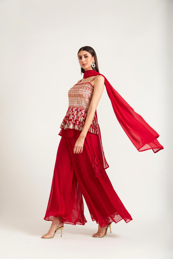 Neerus Rani Color Georgette Fabric Suit Set