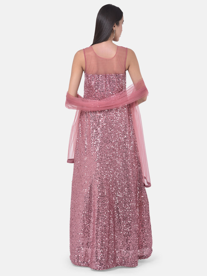 Neerus Onion Colour Nett Fabric Gown