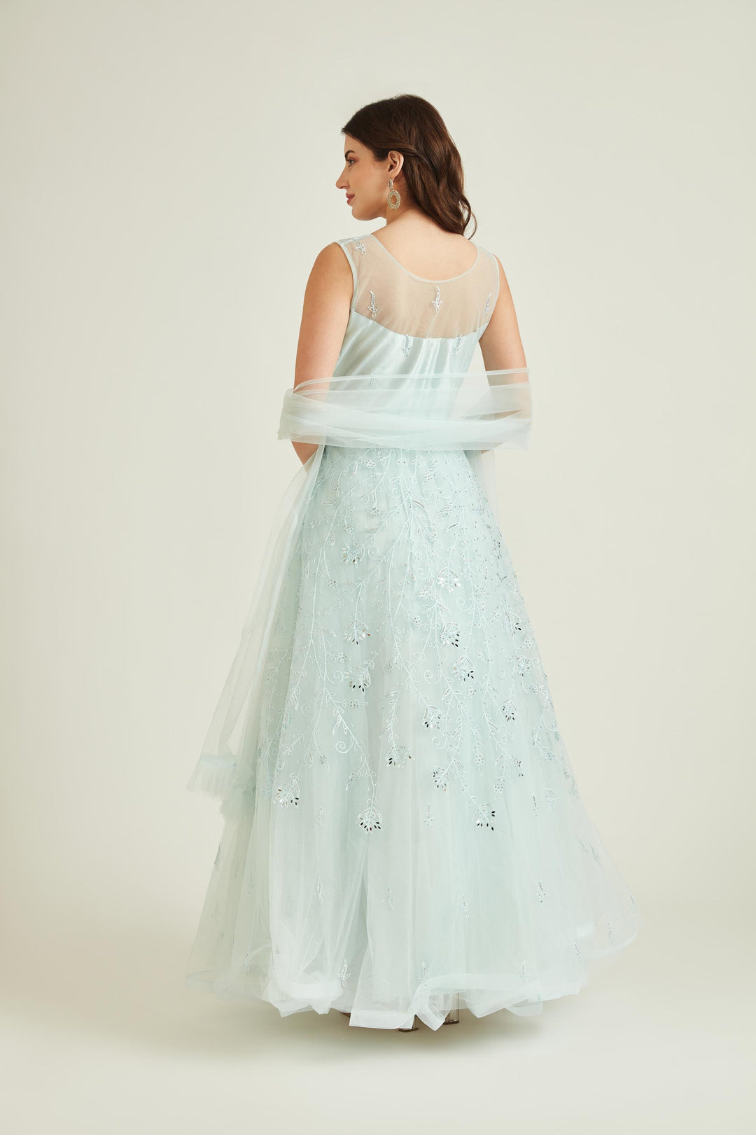 Neerus Blue net embroidered gown - back view