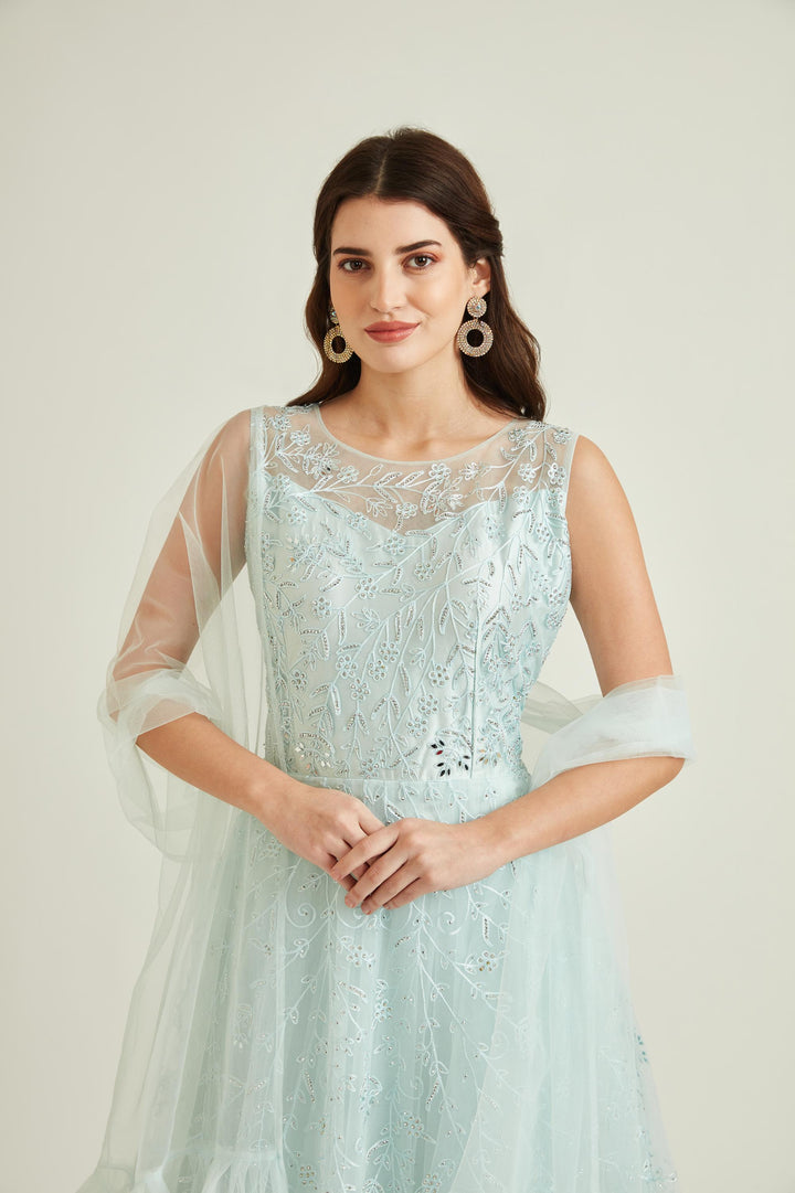 Neerus Blue net embroidered gown - side view