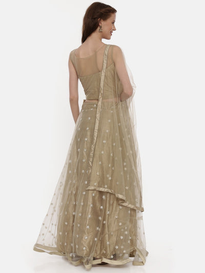 Neeru'S Khaki Embellished Lehenga Set