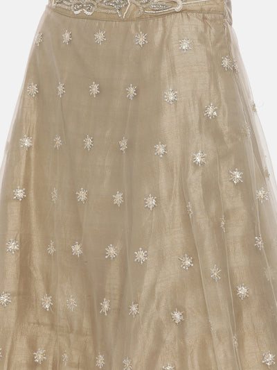 Neeru'S Khaki Embellished Lehenga Set