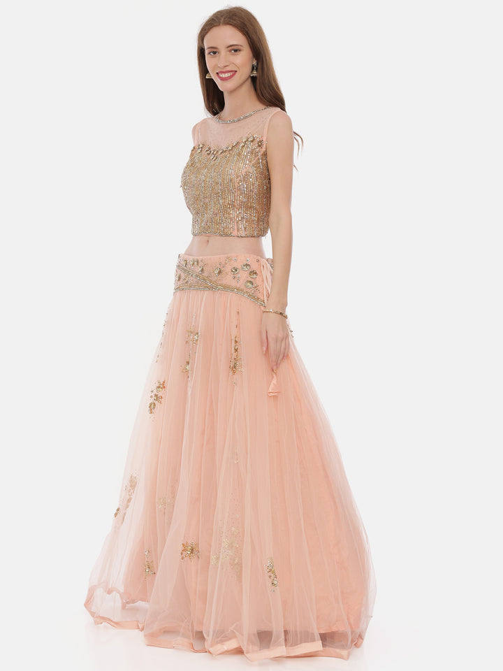Neerus Pink net embellished lehenga ghagra set - detail view 1