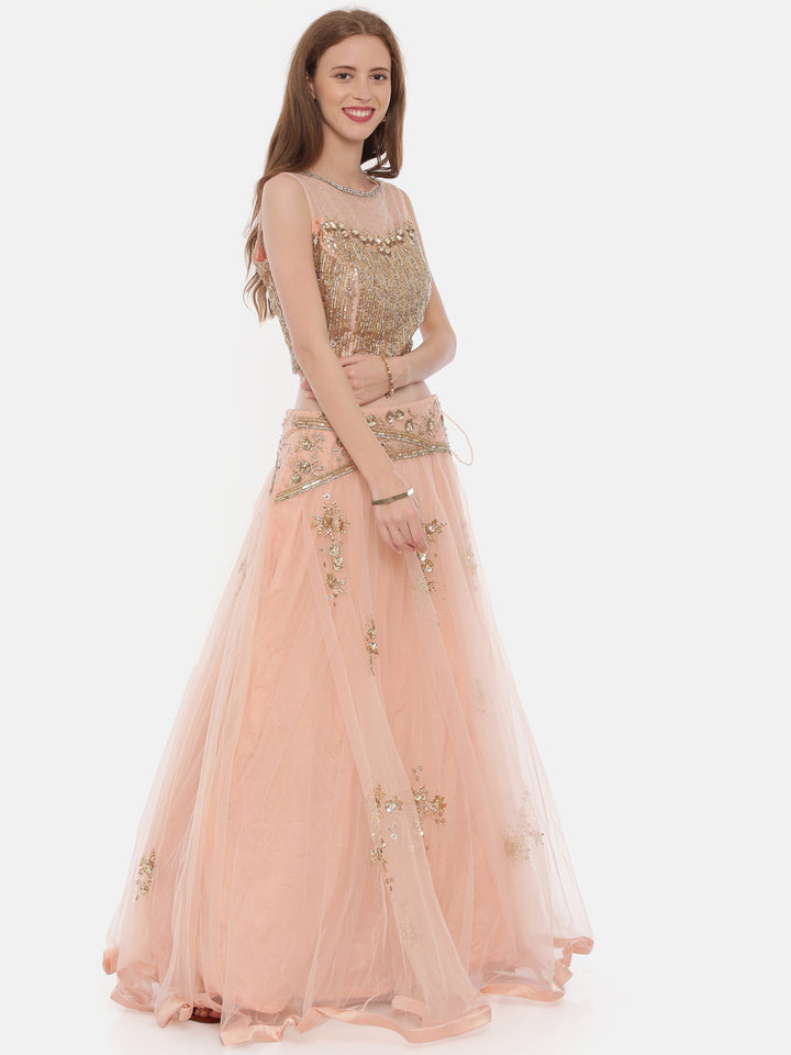 Neerus Pink net embellished lehenga ghagra set - detail view 2