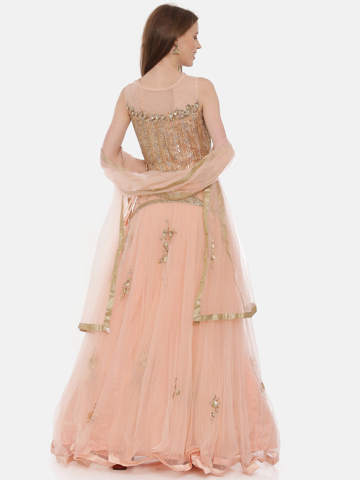 Neerus Pink net embellished lehenga ghagra set - detail view 3