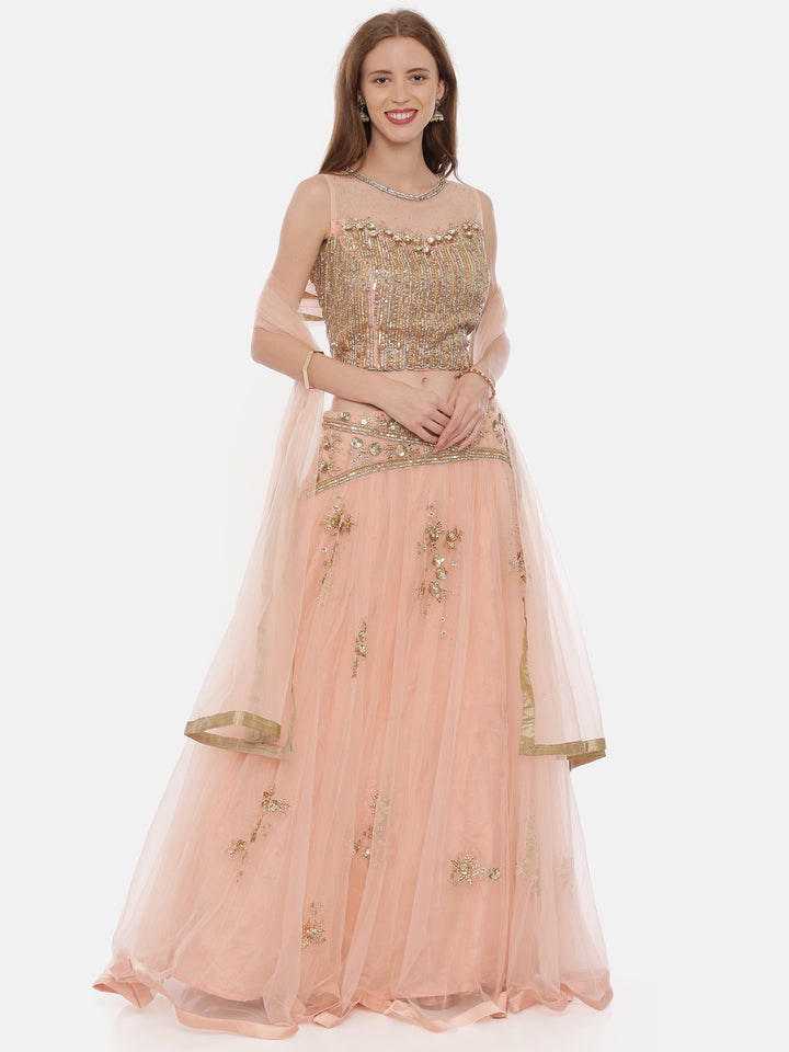 Neerus Pink net embellished lehenga ghagra set - detail view 4