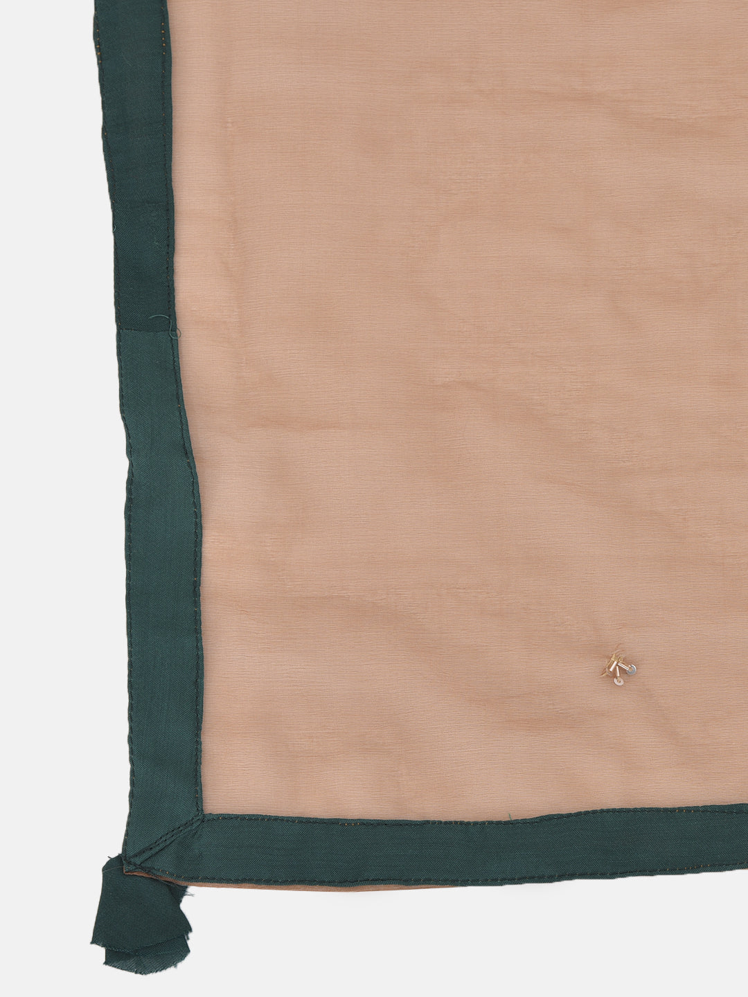 Neerus Green embellished kurta set with pant and dupatta - detail view 2
