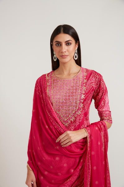 Neeru's Rani Color Cotton Fabric Suit Set