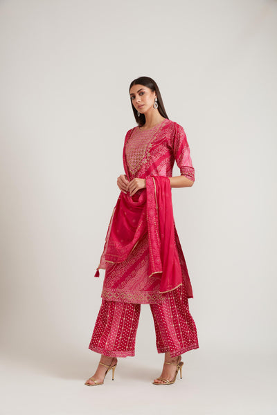 Neeru's Rani Color Cotton Fabric Suit Set