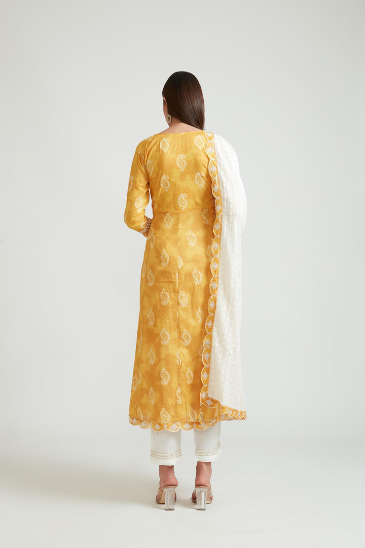Neerus Yellow cotton kurta set - back view