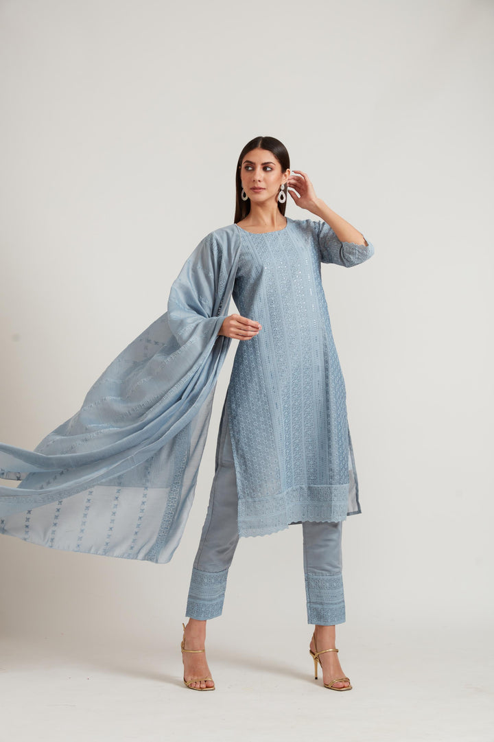 Neerus Grey Chanderi printed suit set - side view