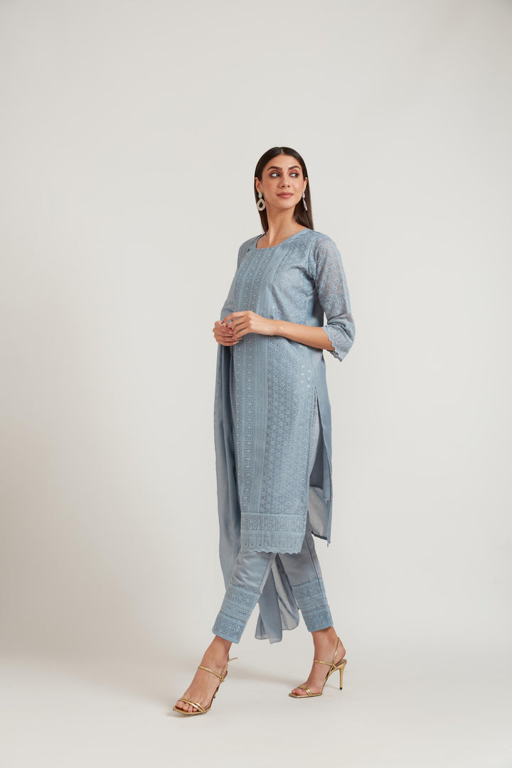 Neerus Grey Chanderi printed suit set - detail view 1