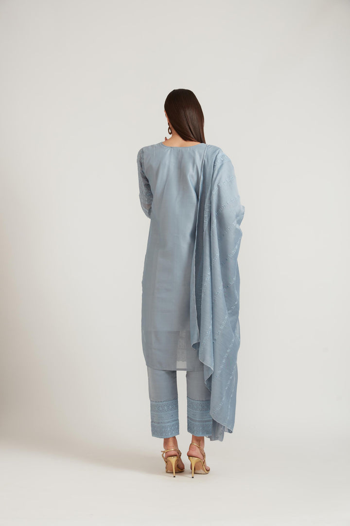 Neerus Grey Chanderi printed suit set - detail view 2