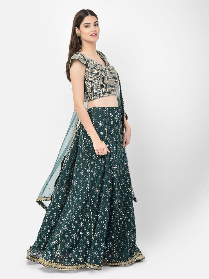 Neerus Green net embellished lehenga choli - side view