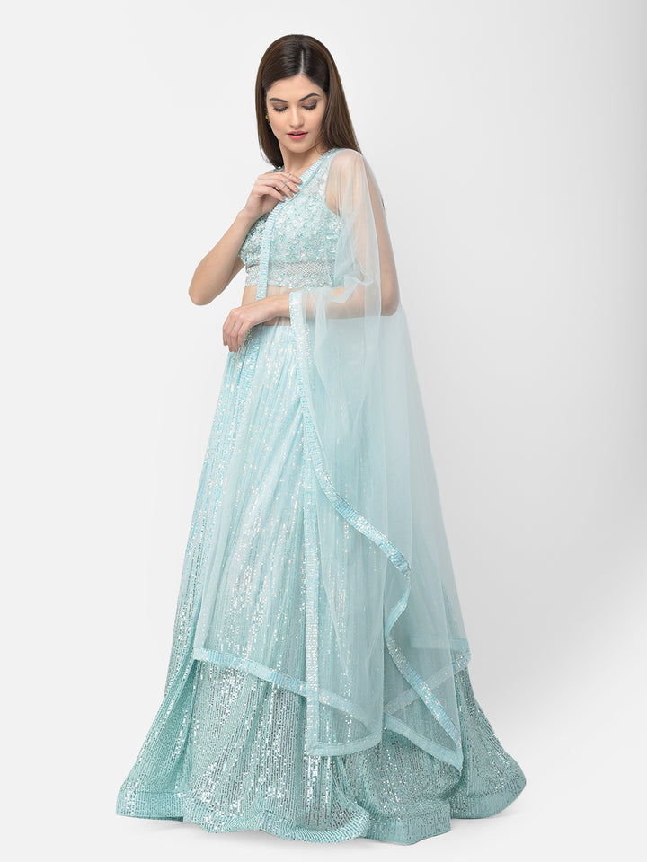 Neerus Green net embellished lehenga choli set - back view
