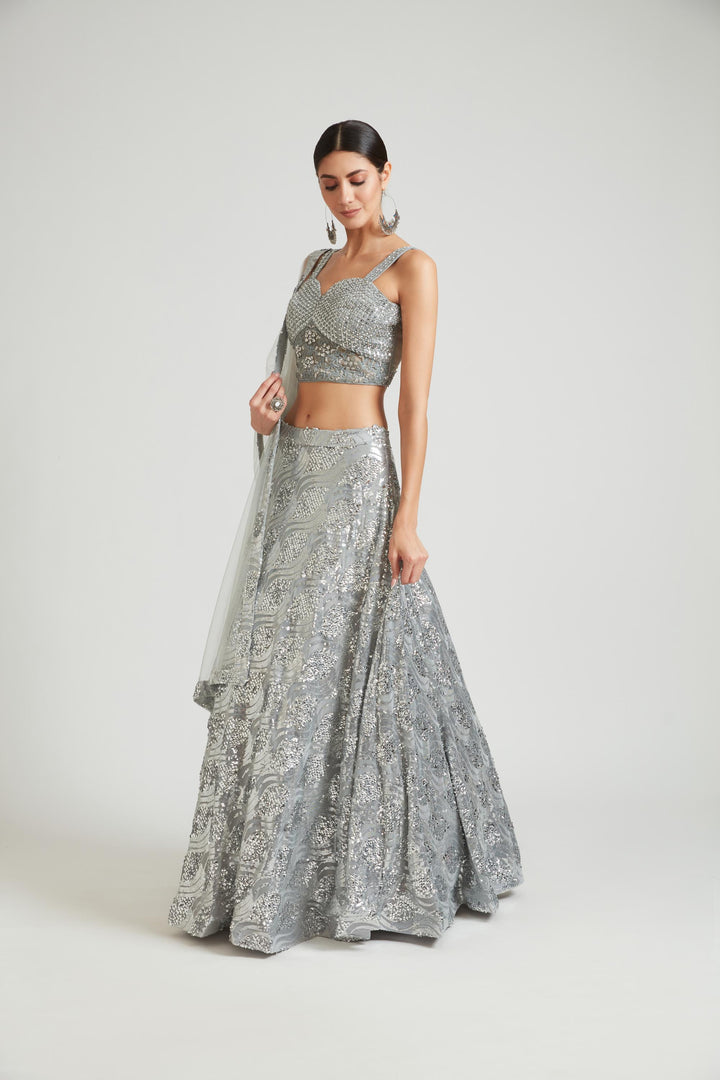 Neerus Grey net embellished lehenga choli set - back view