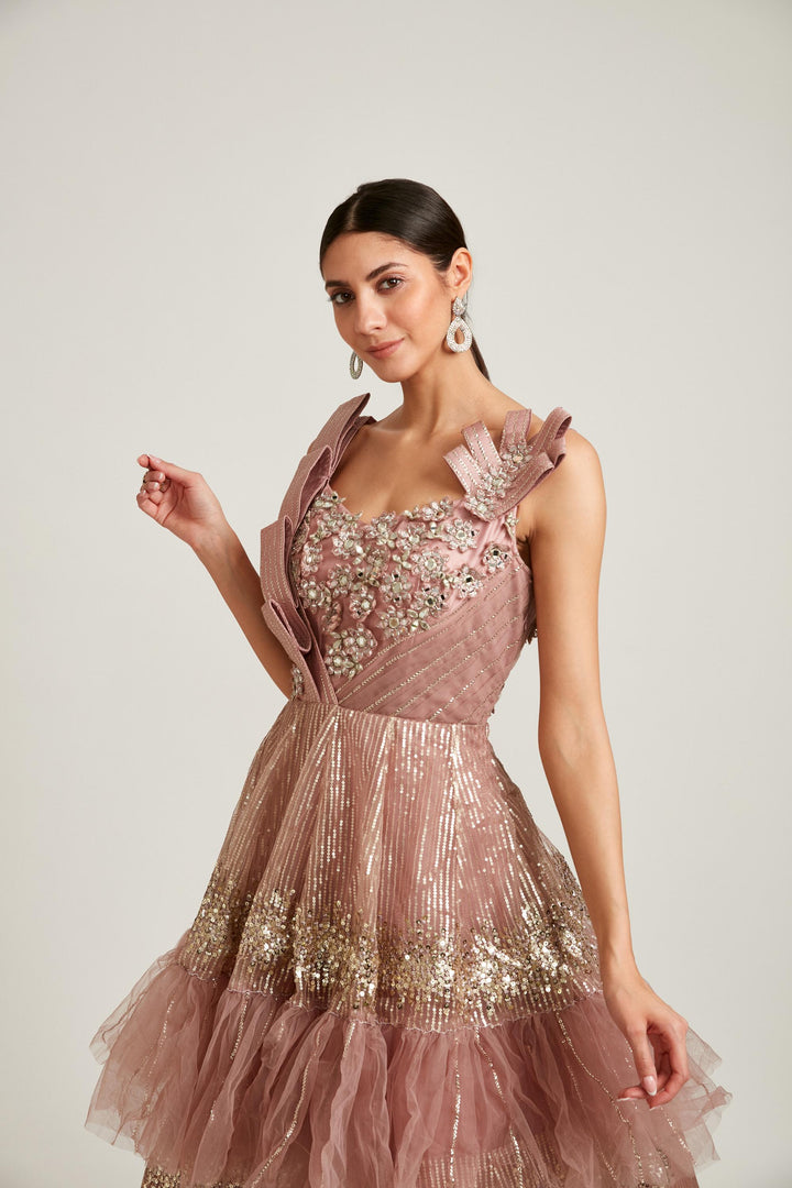 Neerus Pink net embroidered gown - detail view 2