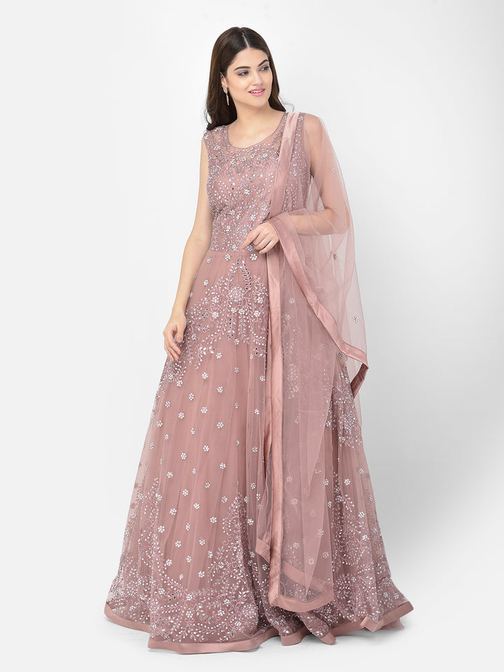 Neerus Pink net mirror work gown - back view