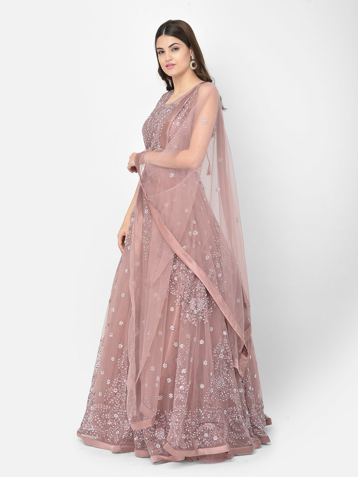 Neerus Pink net mirror work gown - side view