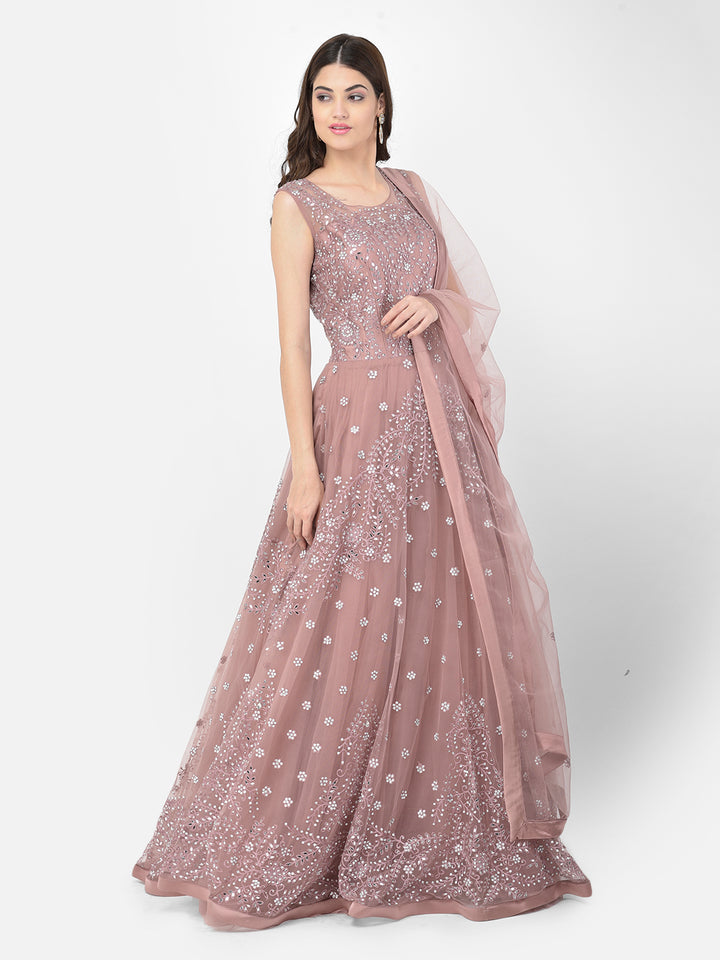 Neerus Pink net mirror work gown - detail view 8