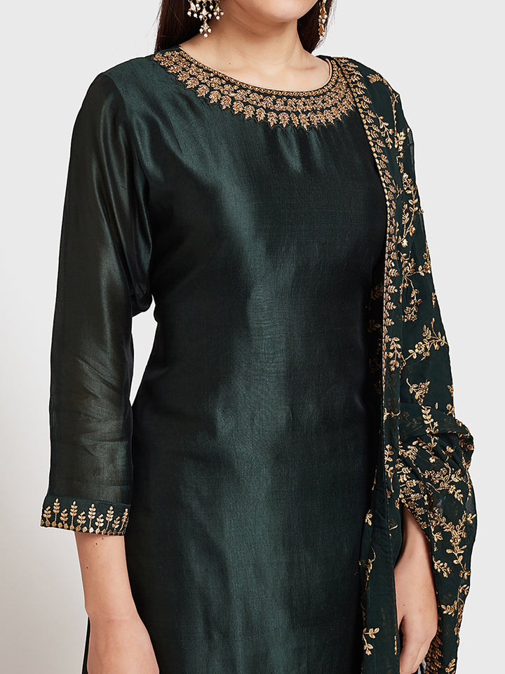 Neerus Green embellished zari kurta set with skirt and dupatta - side view