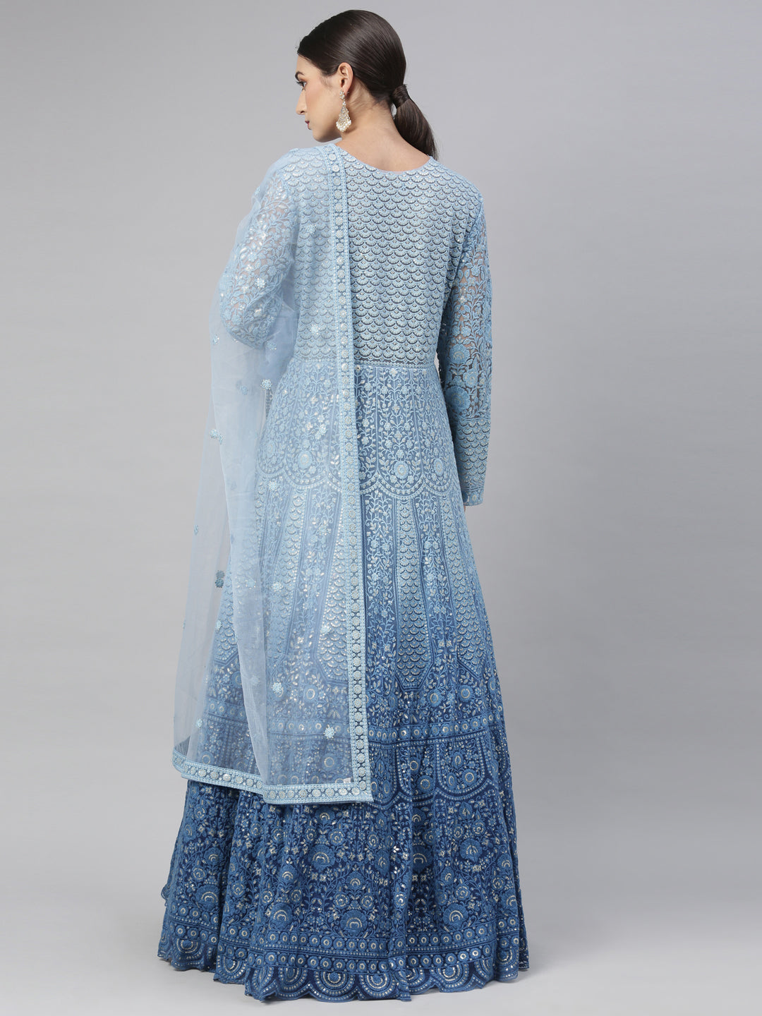 Neerus Blue Color Nett Fabric Gown