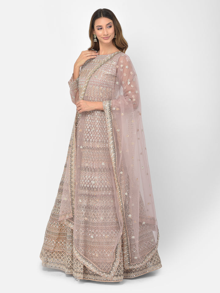 Neerus Onion Color Nett Fabric Salwar Kameez