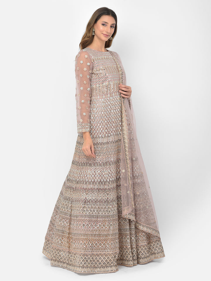 Neerus Onion Color Nett Fabric Salwar Kameez