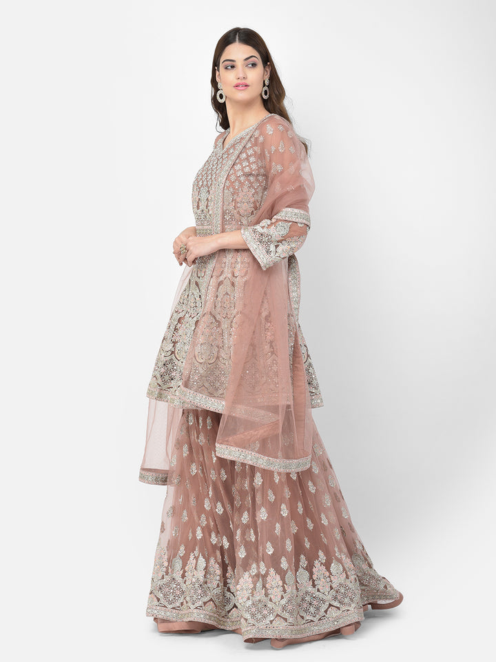 Neerus Pink net embroidered sharara set - back view