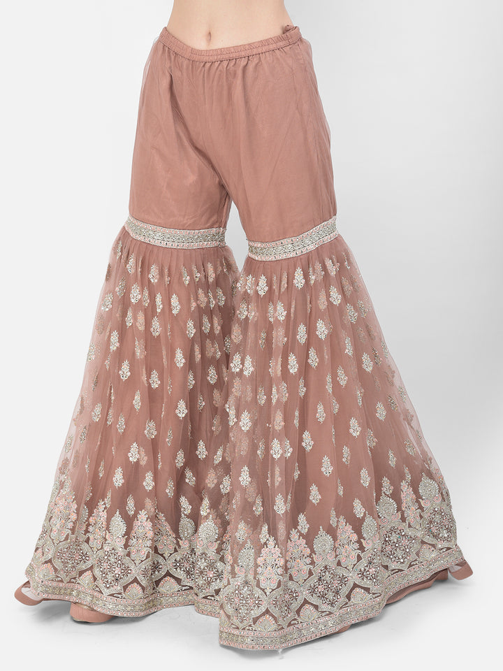 Neerus Pink net embroidered sharara set - detail view 4