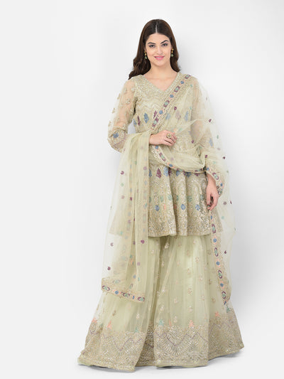 Neeru's Pista Color Nett Fabric Salwar Kameez