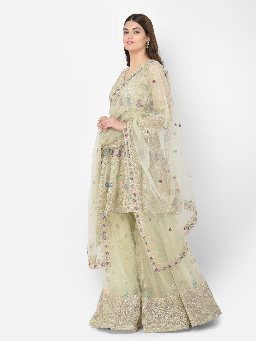 Neerus Green net embroidered sharara set - side view