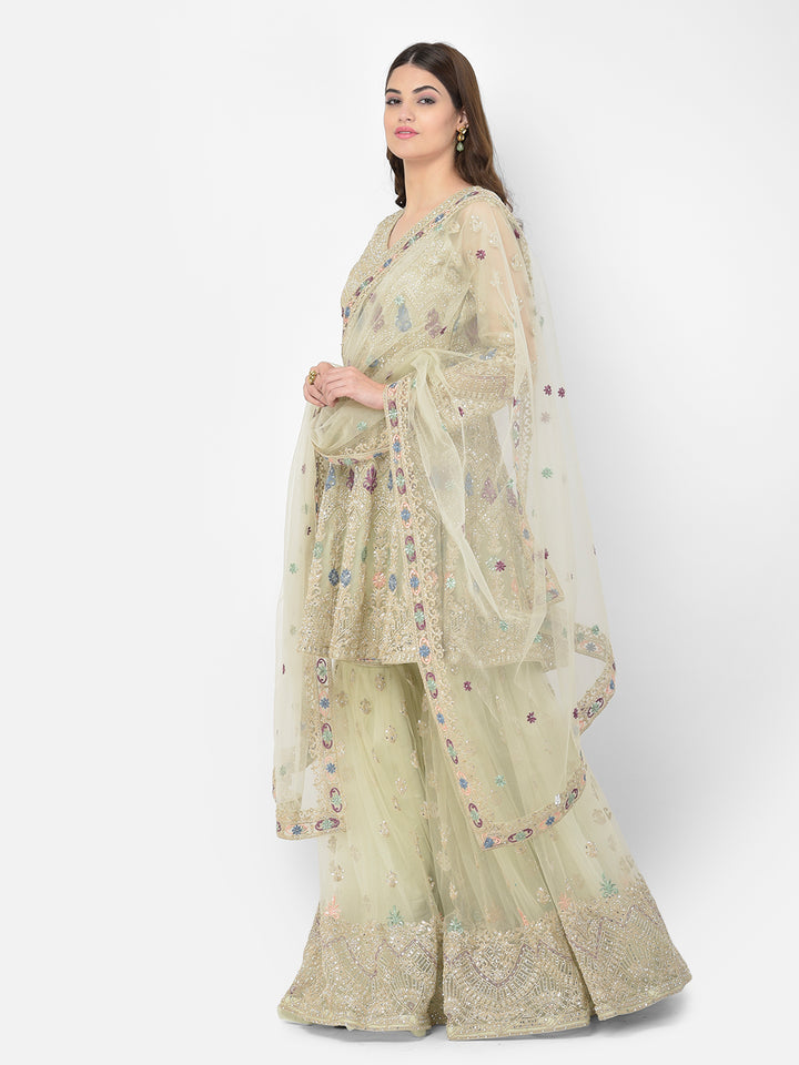 Neerus Green net embroidered sharara set - side view