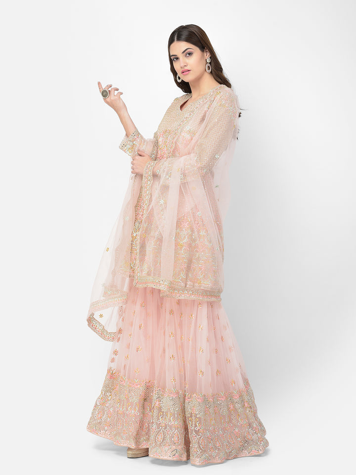 Neerus Peach Color Nett Fabric Salwar Kameez