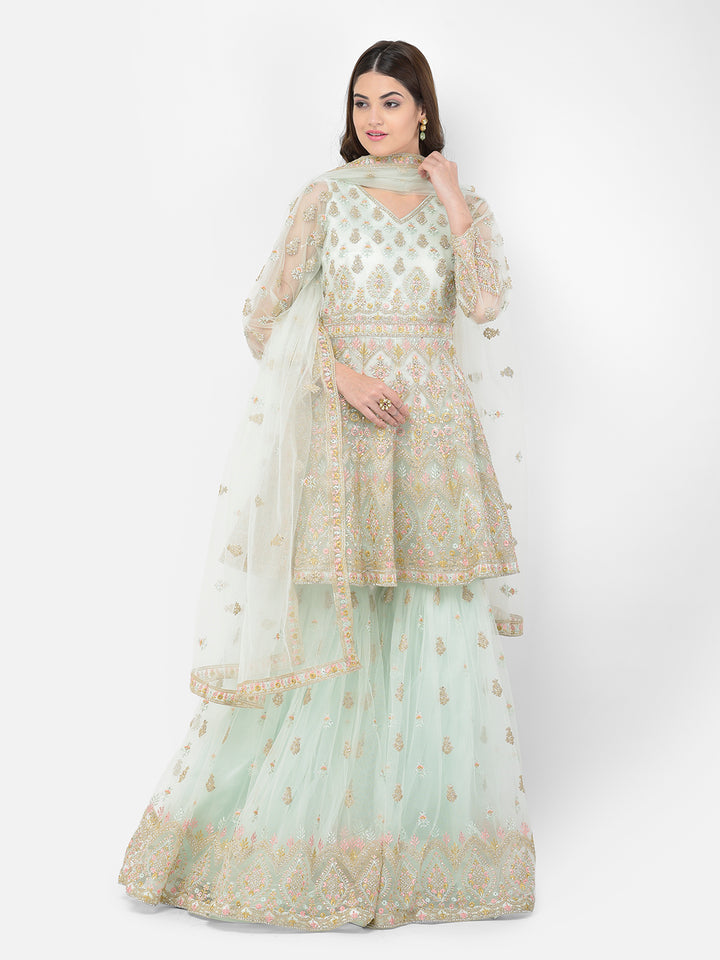 Neerus Pista Color Nett Fabric Salwar Kameez