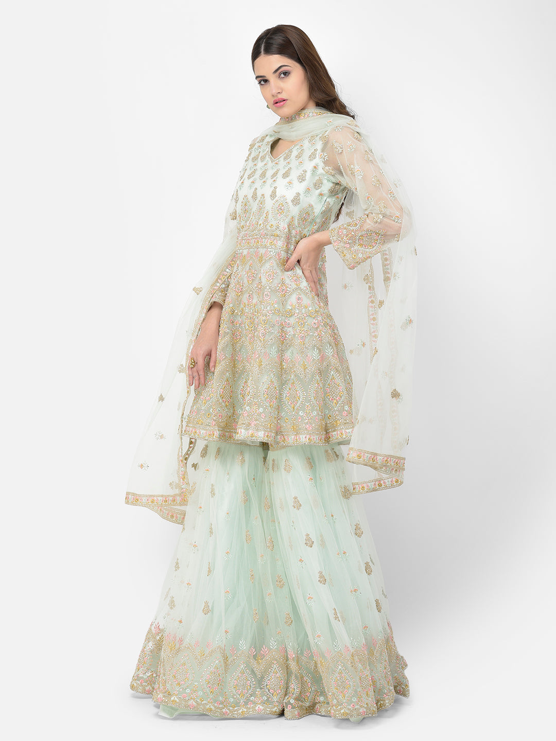 Neeru's pista color nett fabric salwar kameez