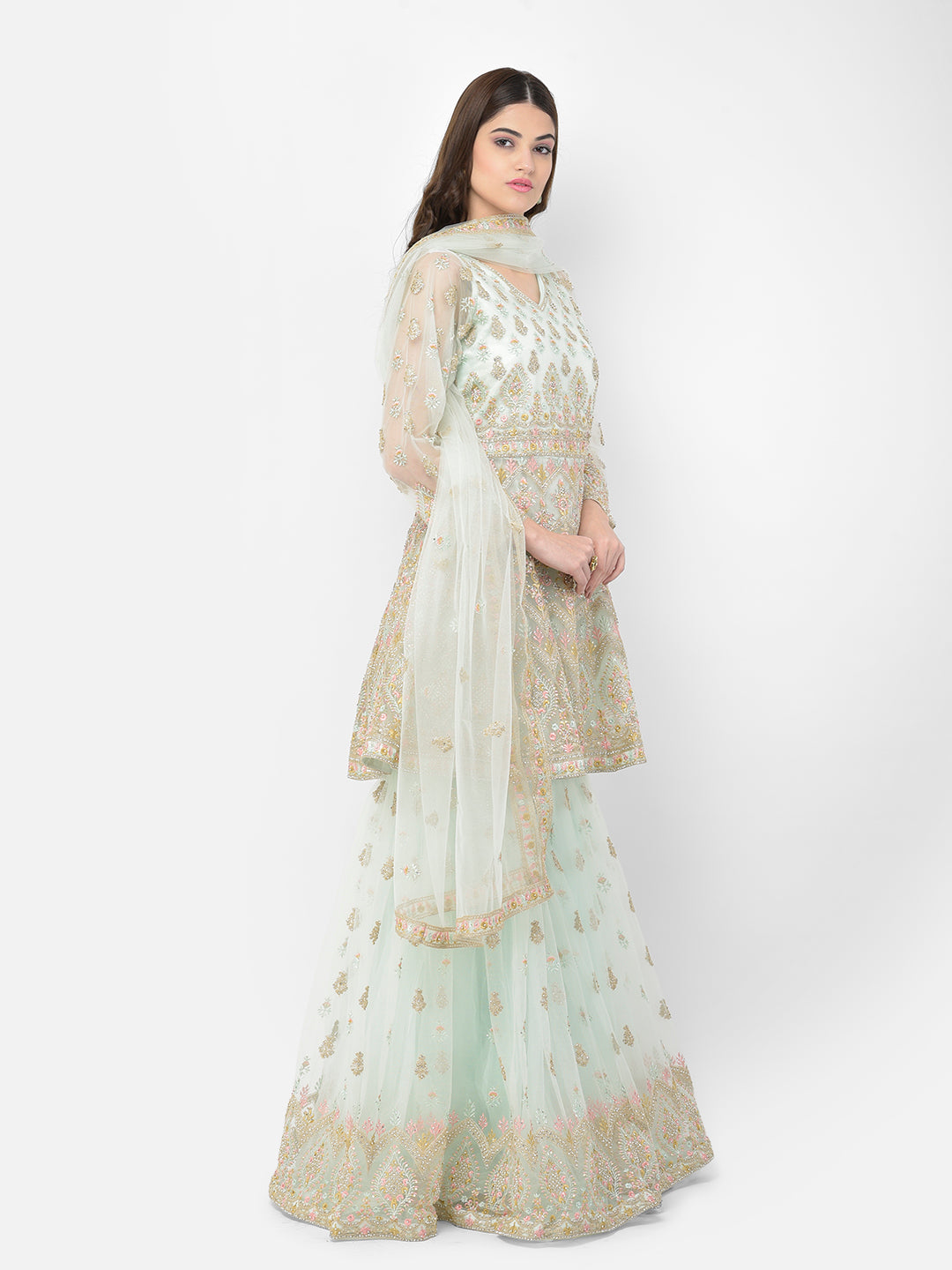 Neerus Pista Color Nett Fabric Salwar Kameez