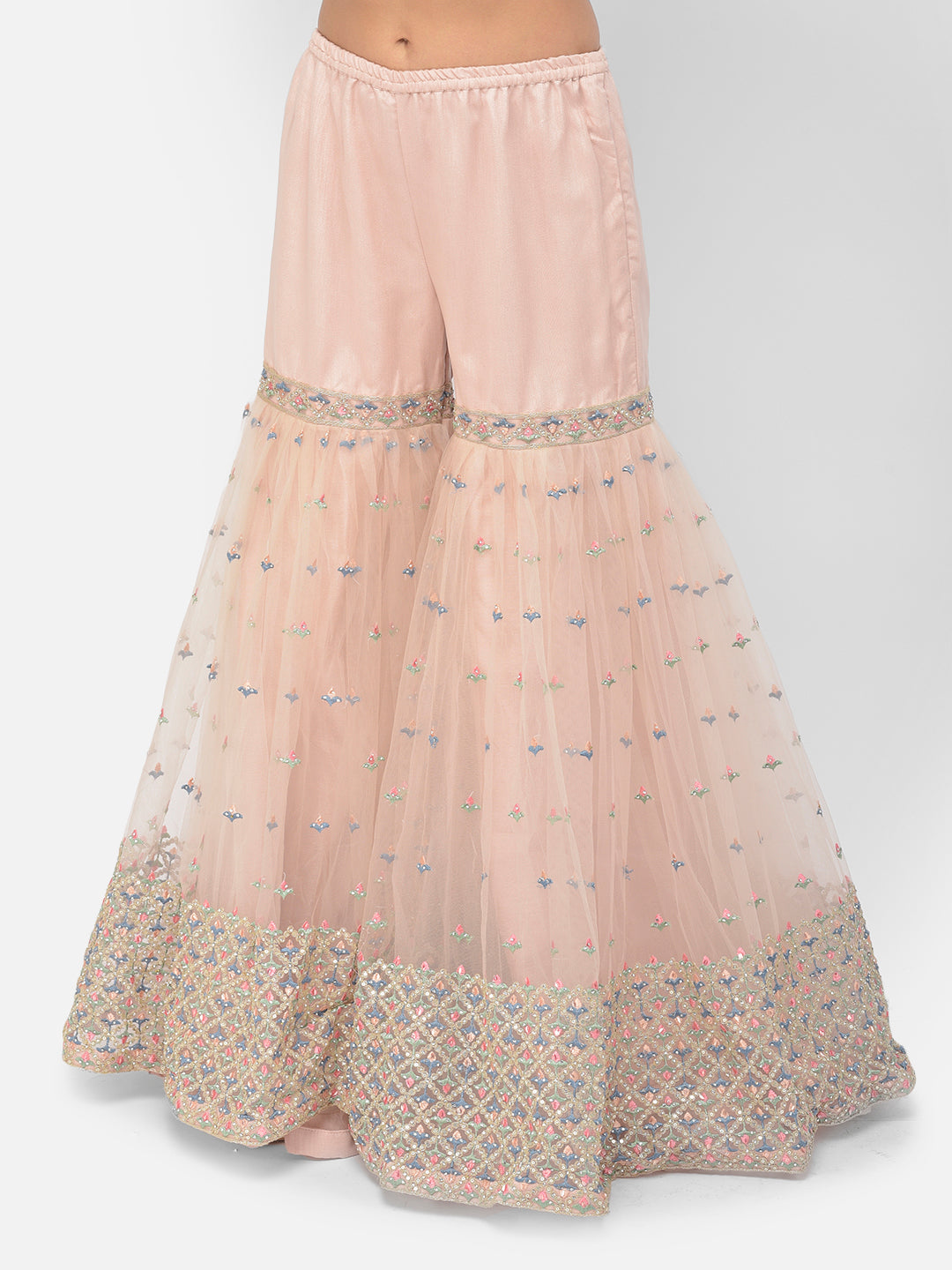 Neerus Orange net embroidered sharara set - back view