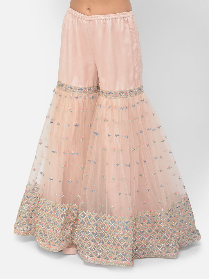 Neerus Orange net embroidered sharara set - back view