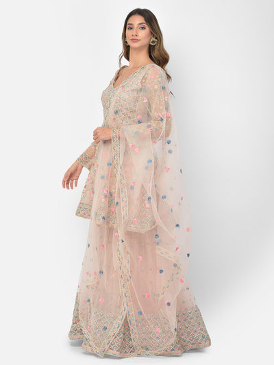 Neeru's peach color nett fabric salwar kameez