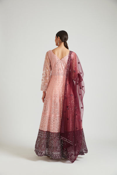 Neeru's Peach Color Nett Fabric Dress