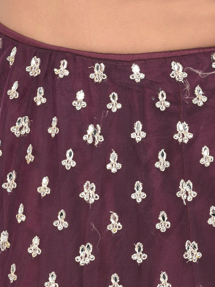 Neerus Maroon net embellished lehenga choli - detail view 2
