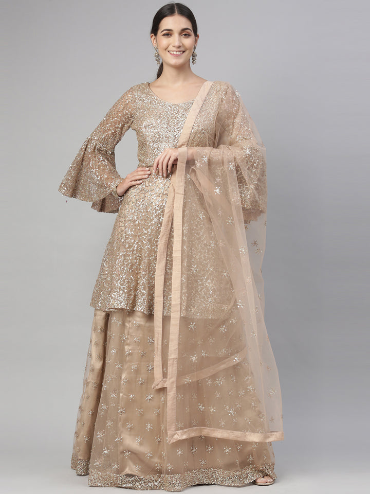 Neerus Gold Color Nett Fabric Lehenga Set