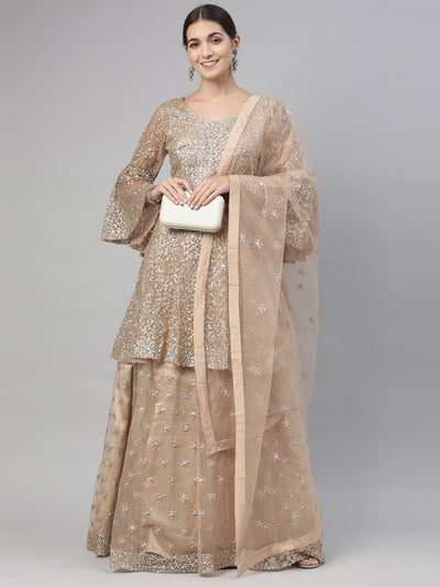 Neeru'S GOLD color, NETT fabric lehenga set