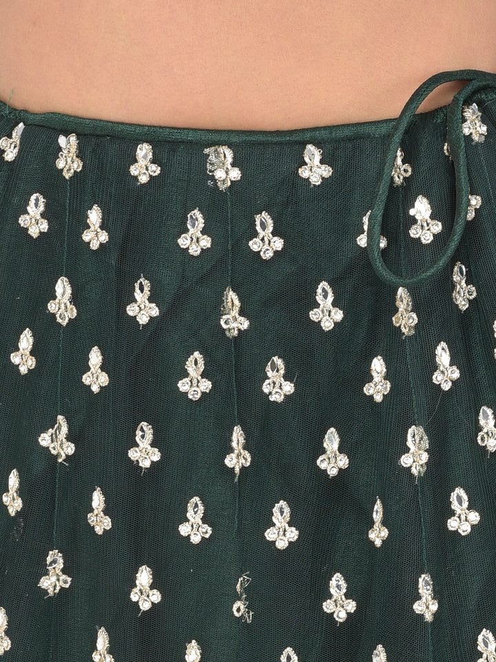 Neerus Green net embellished lehenga choli - detail view 2