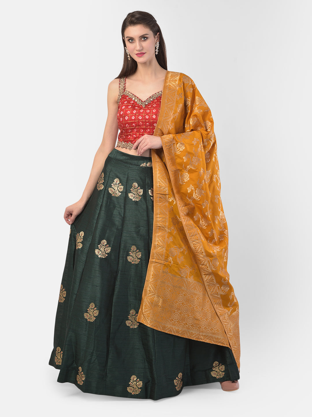 Neerus Green Banarasi woven lehenga set - detail view 3
